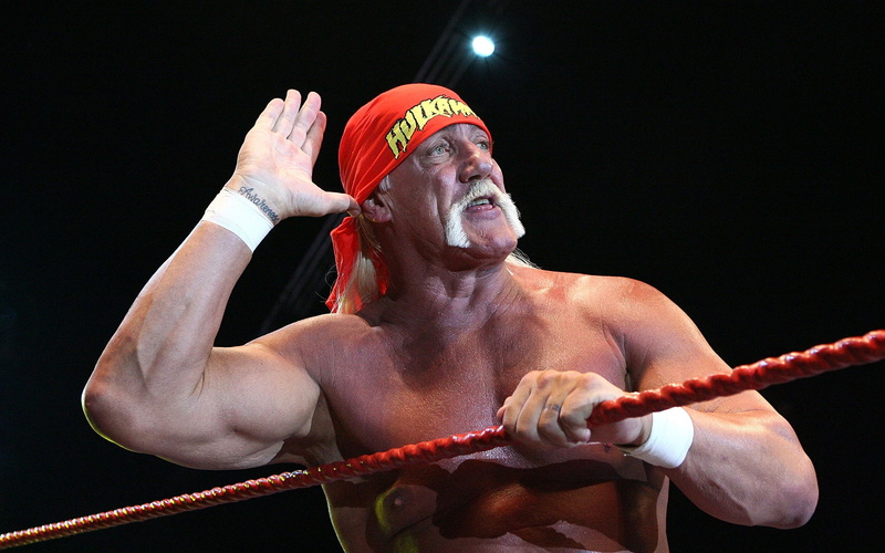 salute, hulk, Hulk Hogan, 2K, hogan