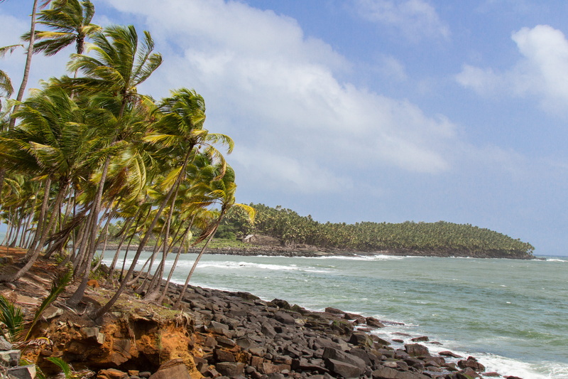 land, guyana, day, rock, îles du salut, 4K, sea, guyane, outdoors, tropical tree, plant, coconut palm tree, tropical climate, france, palm tree, beauty in nature