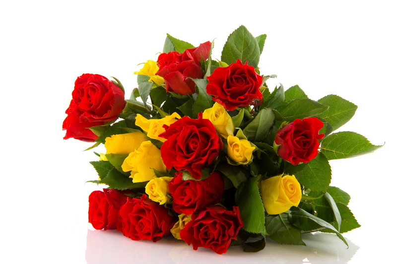 white Background, plant, gift, bunch of flowers, bouquet, fragility, flower, 2K, freshness, indoors, nature, red, studio shot, close-up, valentines Day - Holiday