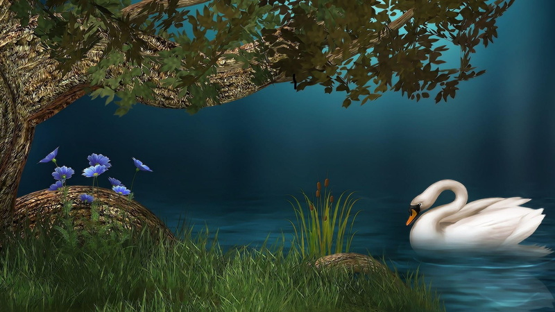 1080P, beauty in nature, floating on water, tranquility, reflection, plant, no people, animal wildlife, animal, one animal, animal themes, outdoors, water