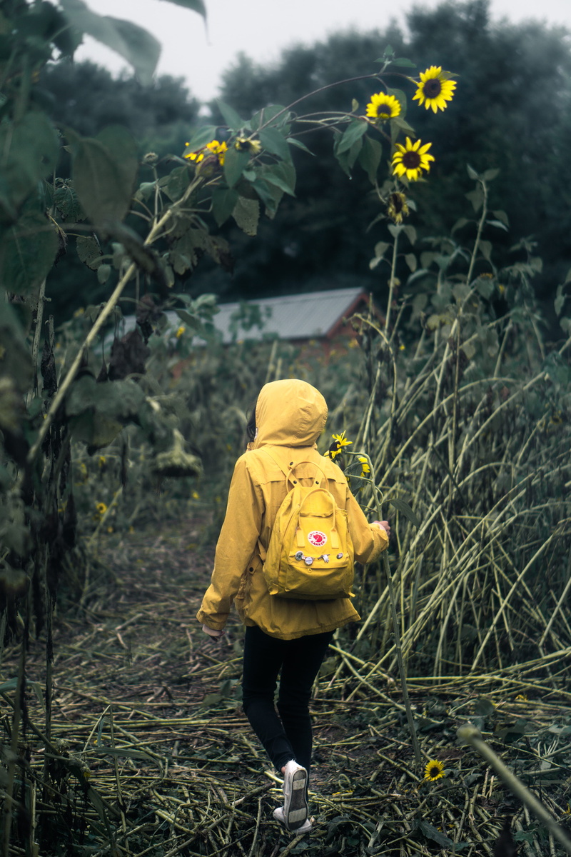 running, grass, stranger things, outdoors, autumn, girls, men, outdoor, yellow, healthy Lifestyle, girl, hiking, action, females, rural Scene, rear View