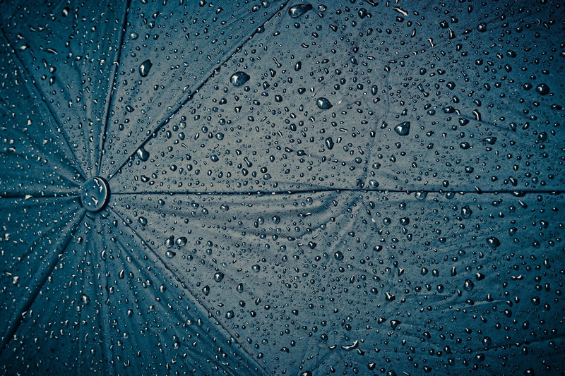 rain, umbrella, weather, raindrop, 4K, screen, wet