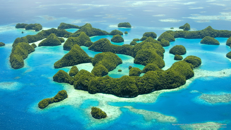 ngerukewid, 2K, wildlife, preserve, micronesia, palau, Islands