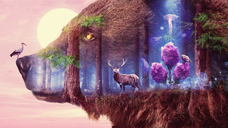 Wildlife, Mystical, 2K