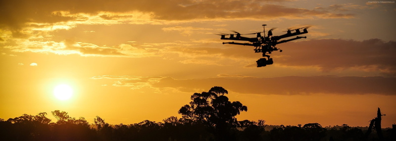 nature, hovering, camera - photographic equipment, orange color, plant, DJI Spreading Wings S1000 Plus, drone, air vehicle, flying, silhouette, photography themes