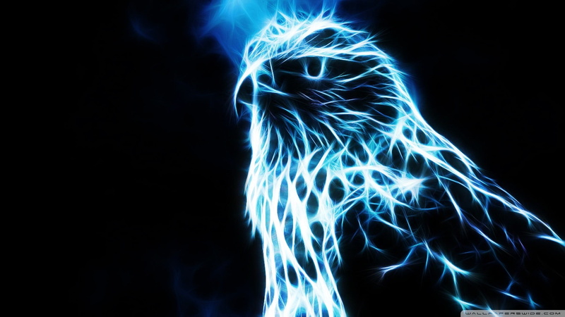 women, fiber optic, 1080P, long exposure, laser, motion, illuminated, black background, dress, light - natural phenomenon, blue, copy space, bird of prey