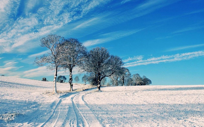 animated, memory, 2K, winter, grab, back