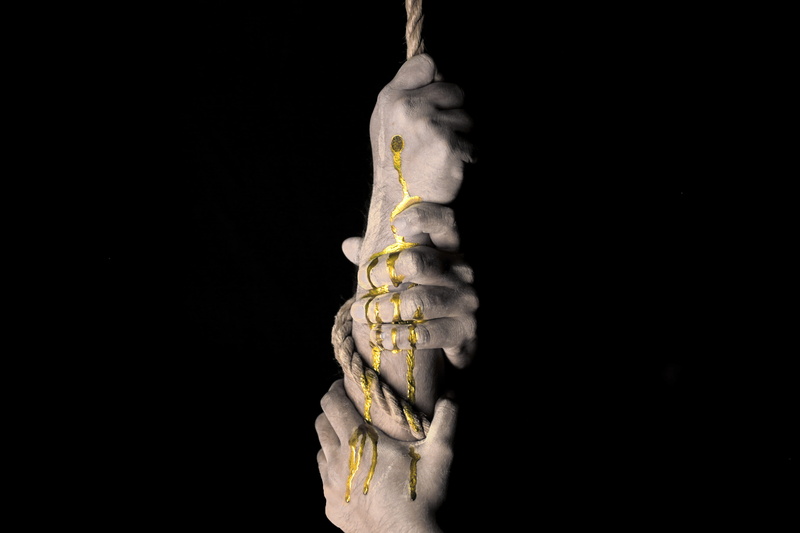 grabbing, human body part, vertebrate, black background, indoors, graphic, animal wildlife, copy space, body part, gold, studio shot, hanging, 4K, animals in the wild