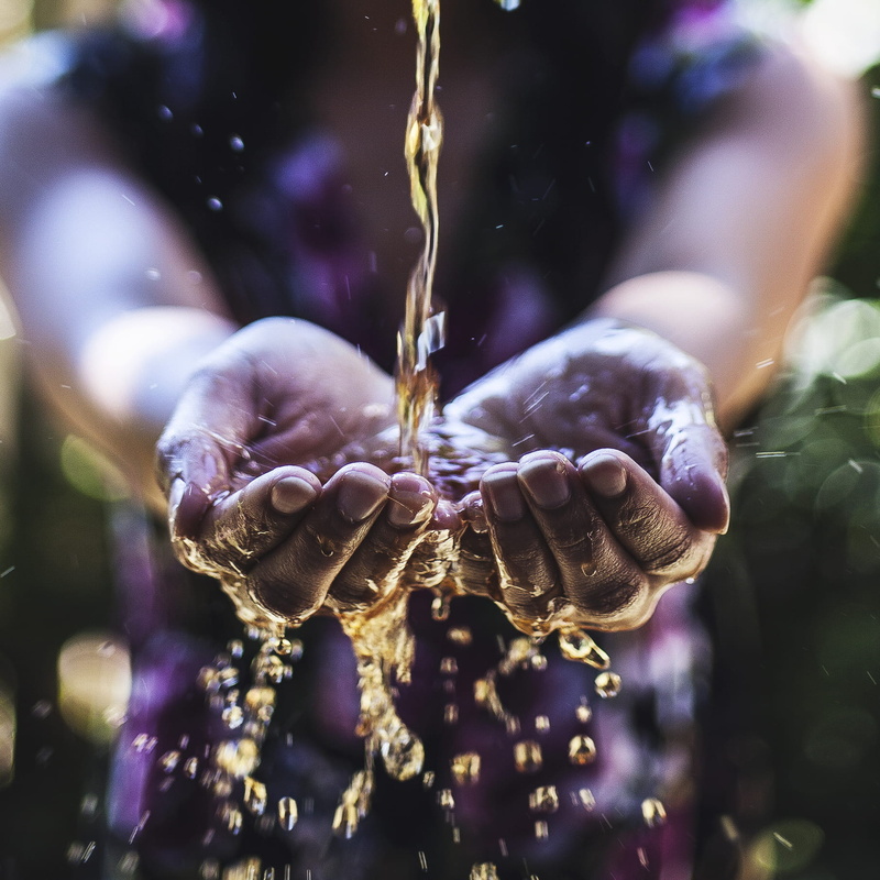 hands cupped, day, body part, splash, drip, focus on foreground, hand, grab, nature, holding, drop, palm, close-up, human foot, hold, human body part, toronto
