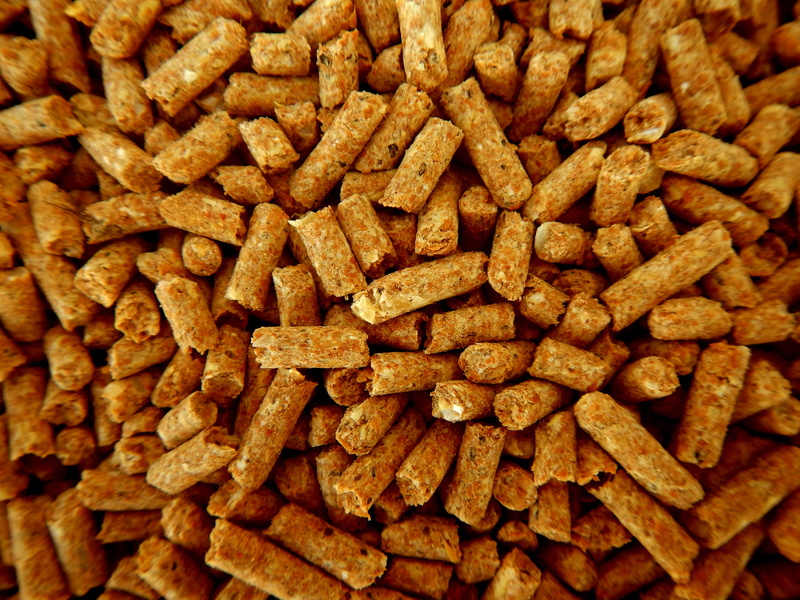 ingredient, heap, 4K, large group of objects, close-up, backgrounds, detail, wellbeing, stack, snack, dried food, pellets, still life, abundance, full frame