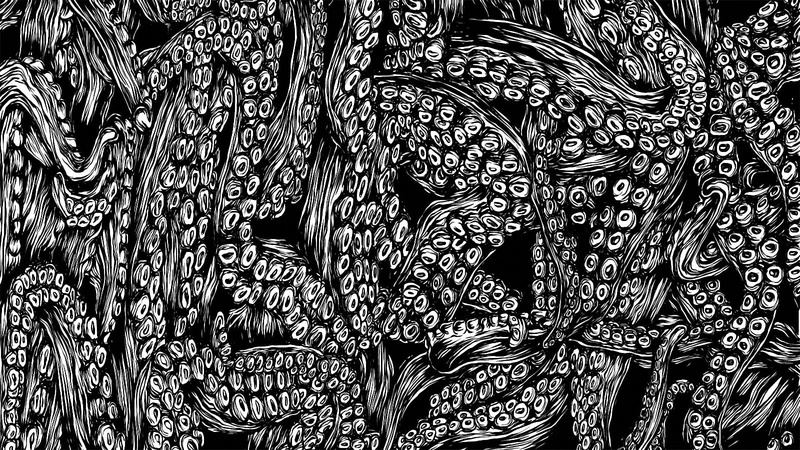 white, black, 720P, octopuses, thorax