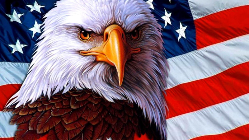 usa, 1080P, freedom, celebration, symbol, american eagle, independence