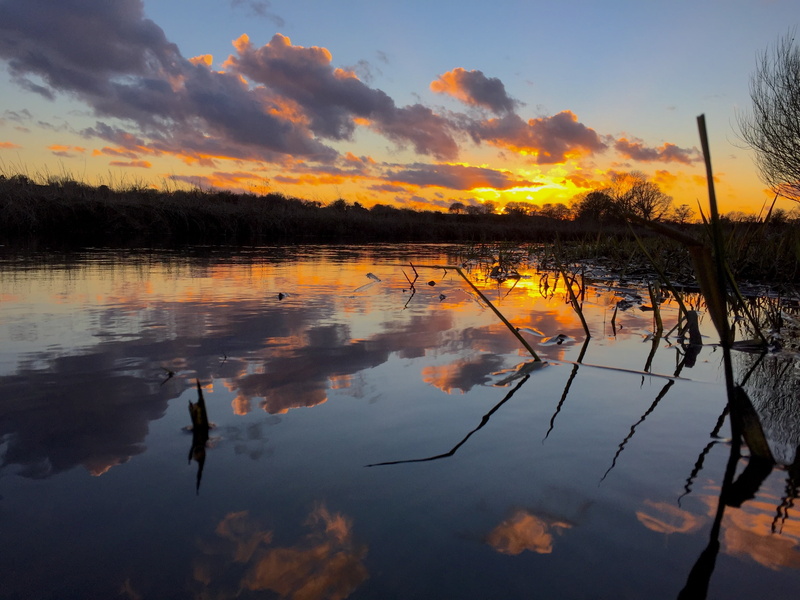 norfolk, orange color, non-urban scene, tree, no people, nature, idyllic, reflection lake, 2K, waterfront, lake, sunset, scenics - nature, plant, outdoors