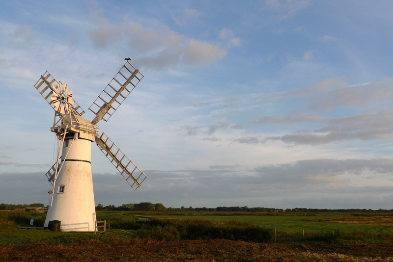 environmental conservation, land, fen, rural Scene, turbine, cloud - sky, windmill, plant, built structure, power, wind, wind turbine, sky, 2K, agriculture