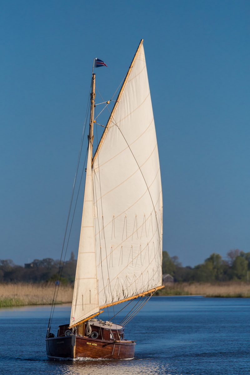 day, waterfront, sailing, outdoors, canvas, broads, norfolk, boundary rd, river, pole, sky, sailboat, transportation, blue, sea, mode of transportation