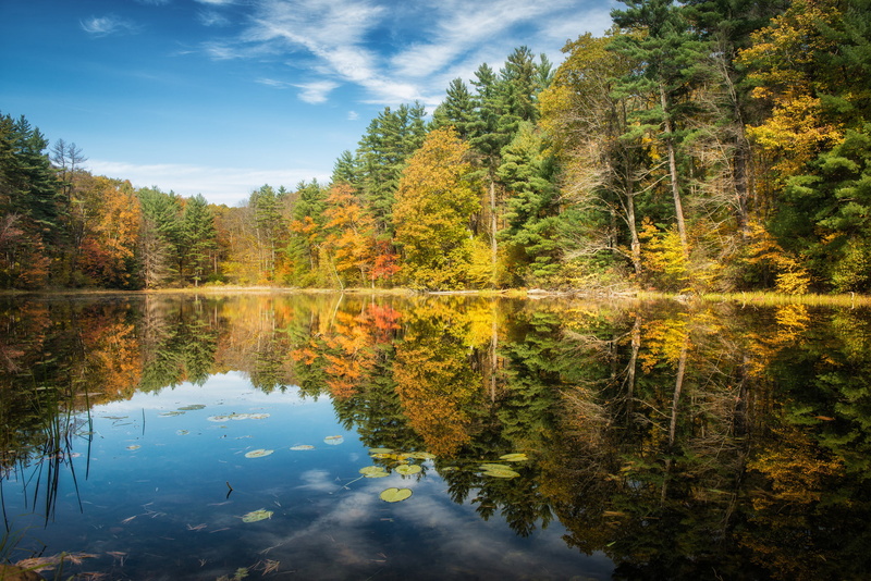 forest, 1080P, Norfolk, reflection, trees, Connecticut, autumn, lake