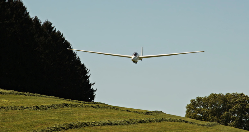 updraft, sail, air vehicle, aviation, forest, green, glide, wings, grass, flying, 5K, drag, land, low, air, transportation, sport aircraft, clear sky