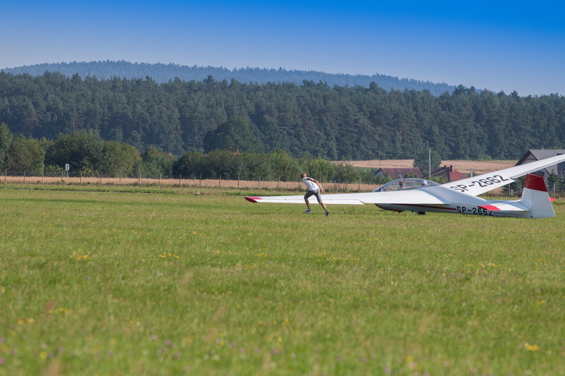 plant, travel, air vehicle, fly, one person, speed, mode of transportation, masłów, leisure activity, adult, transportation, sport, wings, tree, swietokrzyskie