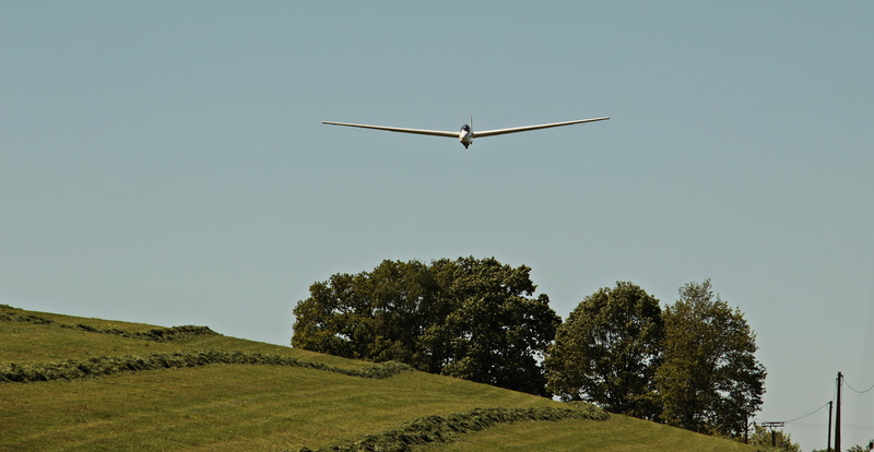 sail, hobby, plant, segelflugsport, forest, mid-air, engine- to fly, air vehicle, nature, air sports, travel, outdoors, leisure, green color, glide, landscape