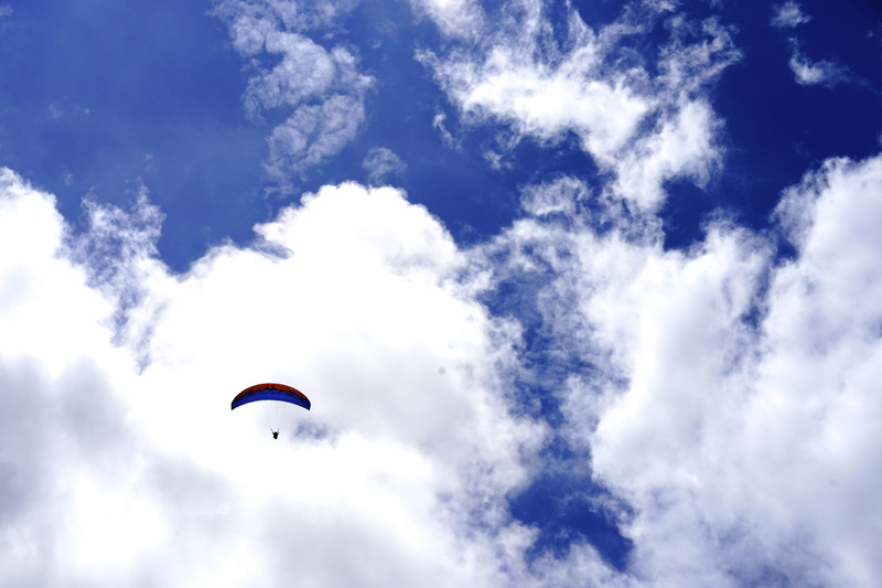 glider, nature, blue, low angle view, extreme game, leisure activity, extreme sports, summer, outdoor, gliding, air, activity, high, lifestyles, daytime