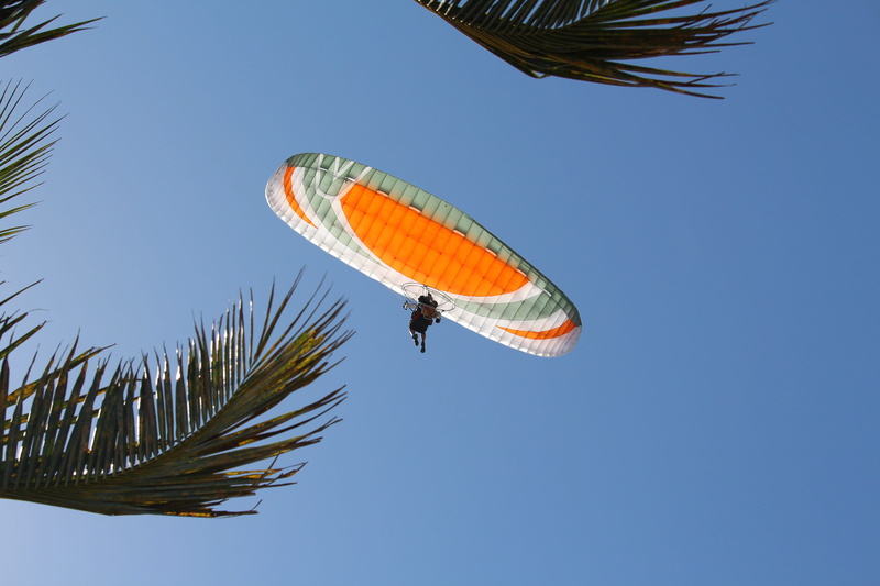 palm tree, mid-air, high, paragliding, outdoors, white, fly, blue, parachutist, extreme, sport, nature, positive emotion, excitement, joy, parachuting