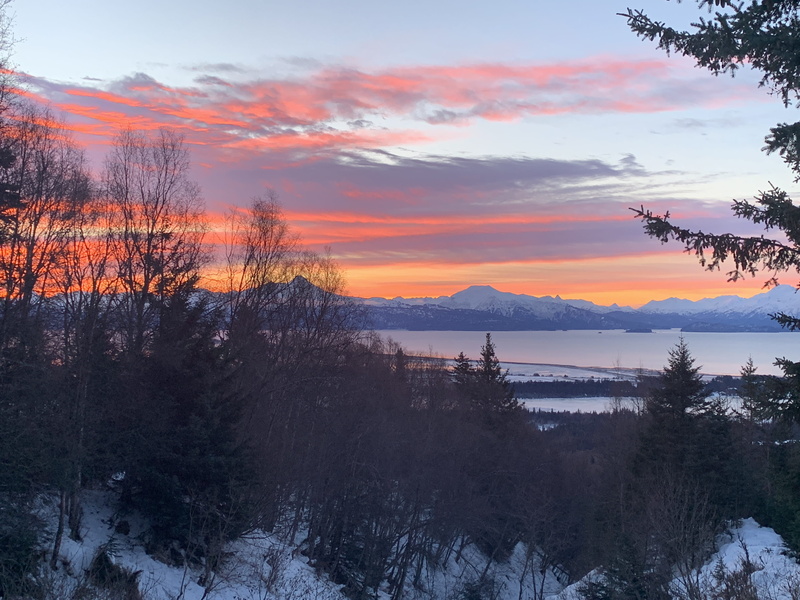 idyllic, beauty in nature, 4K, sky, tranquil scene, alaska, no people, pink sky, environment, tree, non-urban scene, sunset, growth, cloud - sky, tranquility