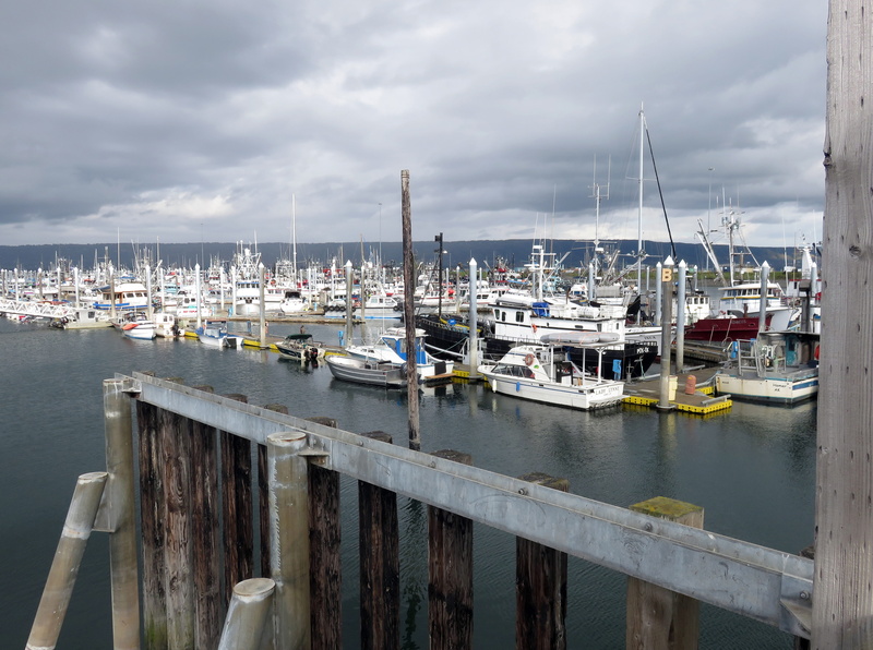 built structure, ocean, safety, building exterior, boat, calm before the storm, marina, reflection, cloud - sky, fishing, homer, nature, sailboat, scenic