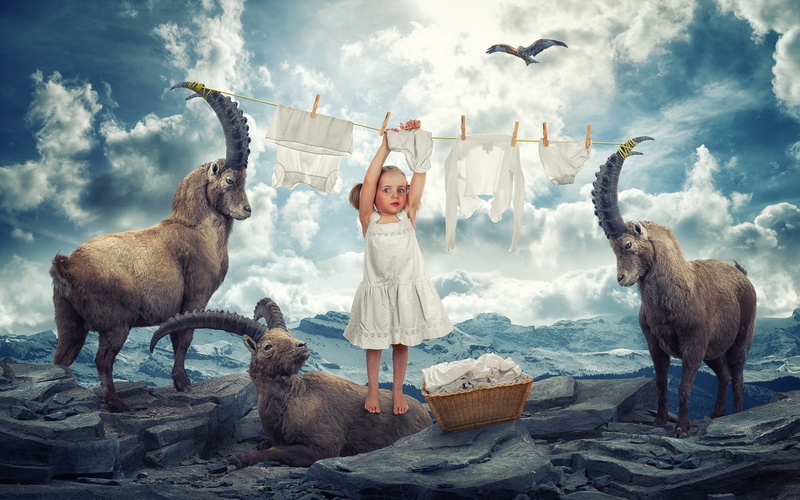 animal wildlife, mammal, mountain goats, cloud - sky, full length, soars, mountains, Laundry day, one person, three quarter length, sky, nature, eagle