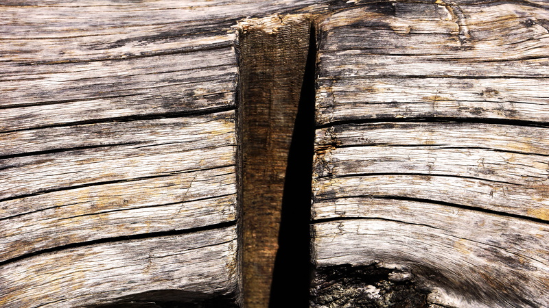 nature, full frame, pattern, bird, clothing, wood - material, tar, textured, table, plywood, high angle view, archaeology, no people, apparel, animal, day