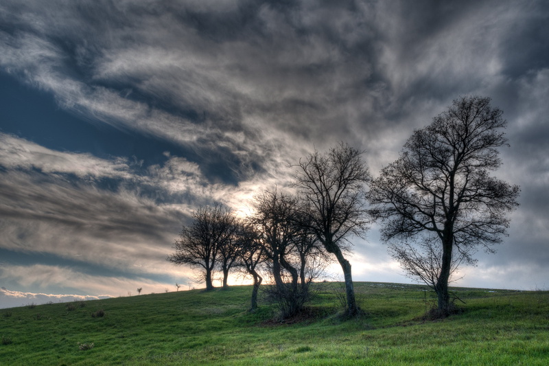 grass, landscape, landscape photography, nikon  D90, nature, 4K, collina, sky, scenics, photography, Italy, alberi, RE, hill, rural Scene, clouds, meadow