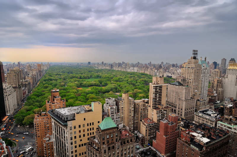 business, trees, midtown Manhattan, city, building Exterior, office Building, office building exterior, architecture, aerial View, crowd, park, downtown District