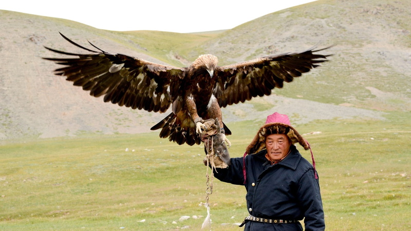 vertebrate, Birds, front view, bird, waist up, day, looking at camera, Golden Eagle, one person, clothing, smiling, adult, animal body part, animal wildlife