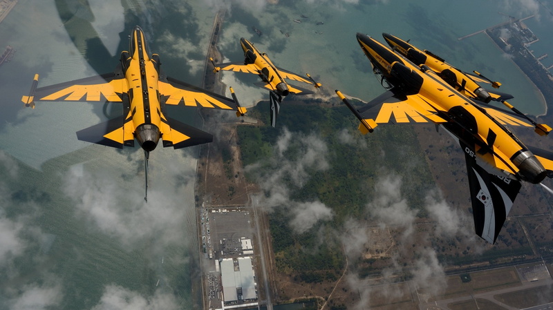 south, team, t 50, air, 1080P, black, eagle, golden, jets, eagles, aircrafts, aerobatic, korean
