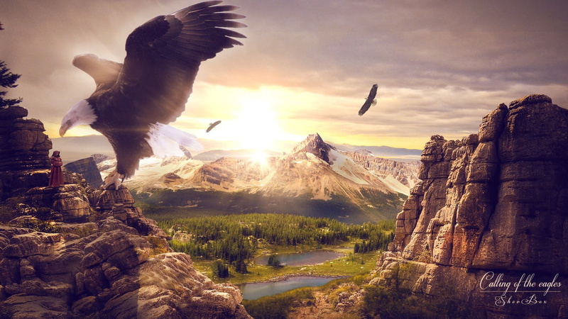 environment, 1080P, eagle, bird, digital art, rock, mountain, scenics - nature, outdoors, brown, flying, vertebrate, mountains, spread wings, animals in the wild