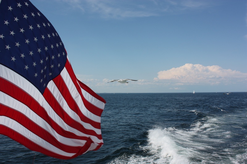 ocean, animal, 4K, striped, nautical vessel, beside, blue, water, flying, u, no people, patriotism, usa, s, independence, july, flag, sky, horizon, outdoors