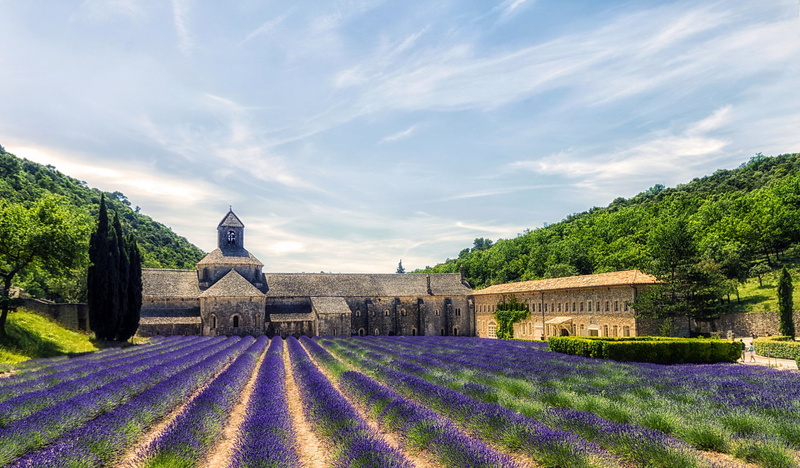 beige, senanque Abbey, Provence, flowers, black, trees, hdr, slope, 1080P, lavender, Proud, concrete, France, house