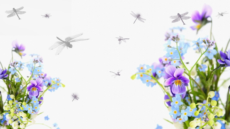 3d and abstract, 1080P, dragonfly, pansies, persona, spring, purple, dragonflies, flowers, summer, dragoflies
