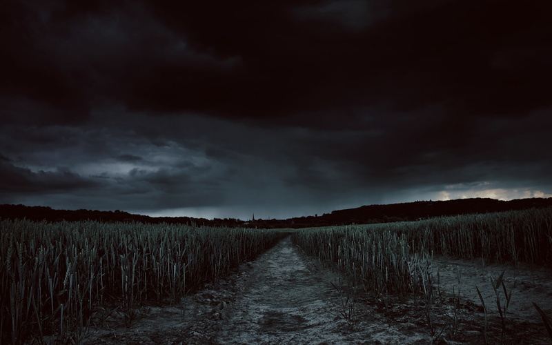 scenics - nature, ominous, tranquility, plant, sky, nature, field, agriculture, overcast, beauty in nature, outdoors, tranquil scene, dark, 1080P, no people
