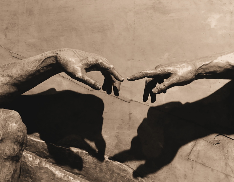 day, sunlight, high angle view, shadow, outdoors, hands, unrecognizable person, hand, the hand, nature, human hand, animals in the wild, animal wildlife