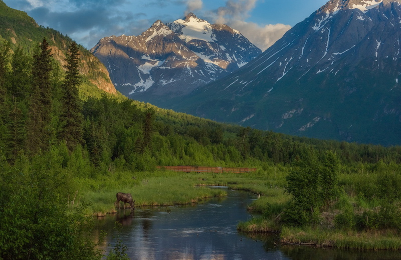 Eagle River, forest, moose, Fugaccia mountains, mountains, 1080P, river, Chugach Mountains, Alaska