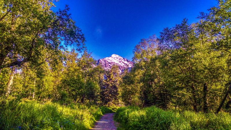 landscape, Eagle, non-urban scene, no people, nature, growth, Nature Center, Alaska, plant, land, tranquility, Eagle River, mountain, eagle river, foliage
