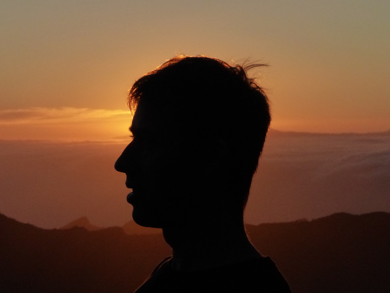 profile view, headshot, profile, orange color, scenics - nature, human face, close-up, person, man, beauty in nature, outdoors, side, head, silhouette
