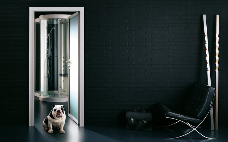 dog, bodyguard, 1080P, bag, bathroom, security, background, room, guard, funny