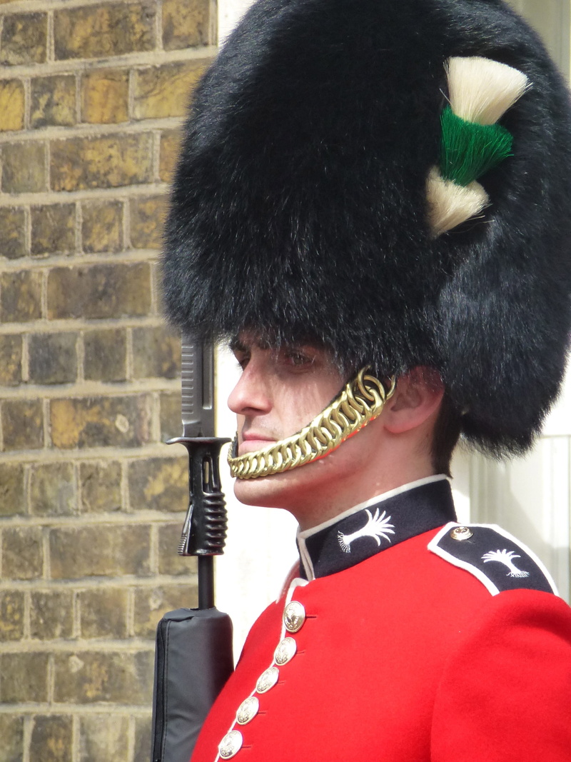 architecture, one person, gun, royal, day, portrait, mid adult, europe, protection, historical, Buckingham, warm clothing, real people, security Guard