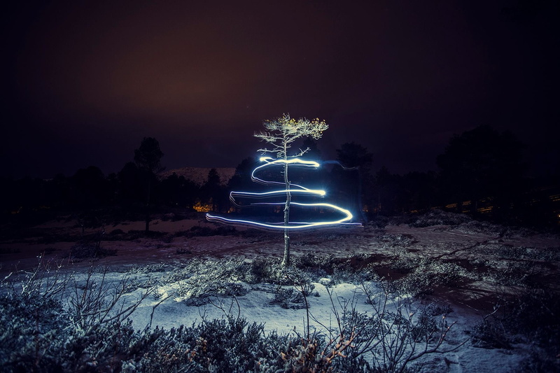 photography, tree, sky, Marius beck dahle , communication, transportation, land, night, green, light painting, sign, 720P, leafed, nature, long exposure