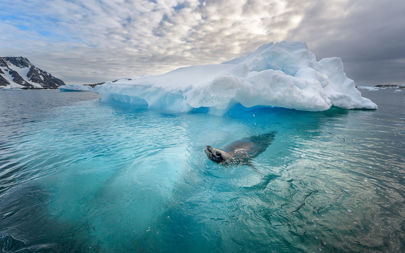 1080P, iceberg, ice, nature, landscape