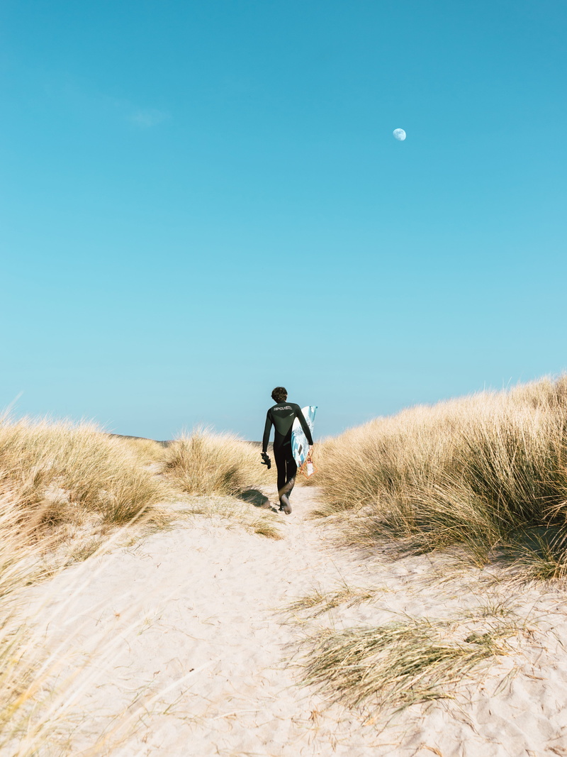 landscape, june, grass, wearing, dunes, surfer, sunlight, cycling, mountain Biking, leisure activity, adventure, surfboard, summer, sport, walking, day