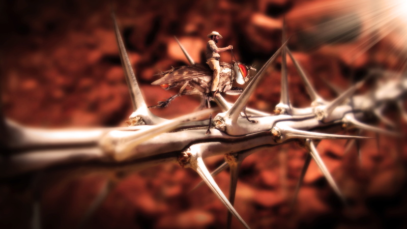 focus on foreground, animal wildlife, insect, outdoors, cowboys, invertebrate, metal, desert, selective focus, nature, illusion, plant, day, 4K, fragility