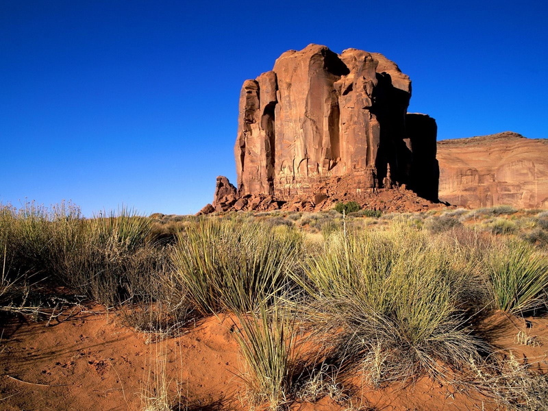 day, sky, eroded, canyon, red Rocks, southwest USA, moab, sand, extreme Terrain, rock Formation, remote, clear sky, plant, butte - Rocky Outcrop, mesa - Arizona