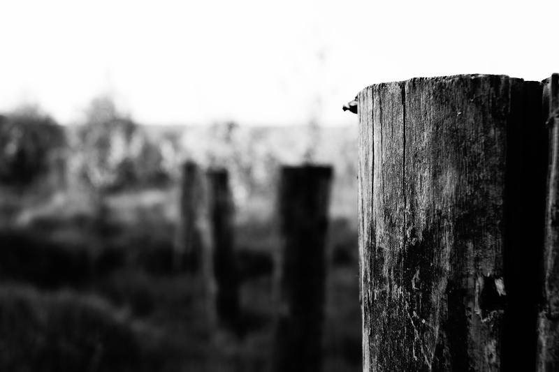 sky, monochrome, day, safety, close-up, building, defocused, focus on foreground, metal, sea, light, shadow, Nature, tree, silhouette, land, wood - material